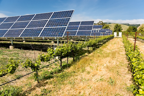 California Solar Initiative RD&D Program Process Evaluation